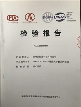 檢測報告