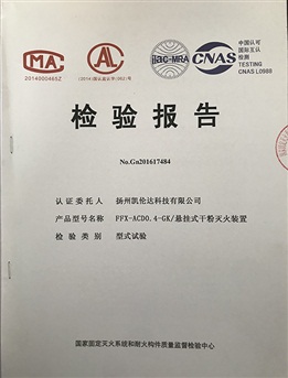 檢測(cè)報(bào)告